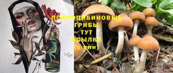 сатива Алзамай