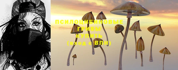 сатива Алзамай