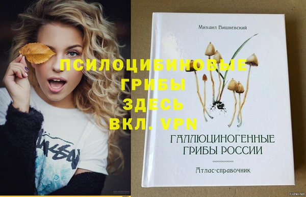 MDMA Premium VHQ Алексеевка