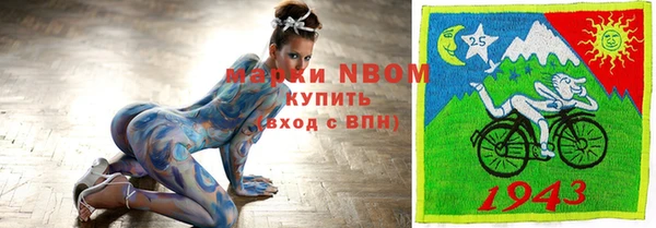 гидра Алексин