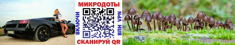 Галлюциногенные грибы прущие грибы  наркошоп  площадка официальный сайт  Данков 